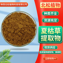 夏枯草提取物20:1 水溶性原料粉 夏枯草比例提取物 现货 药食同源