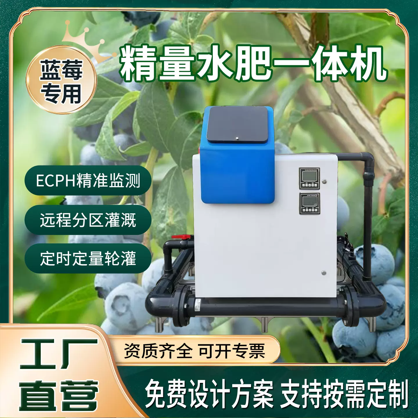主路式水肥一体机蓝莓草莓专用滴喷灌精准施肥调酸机ECPH远程控制