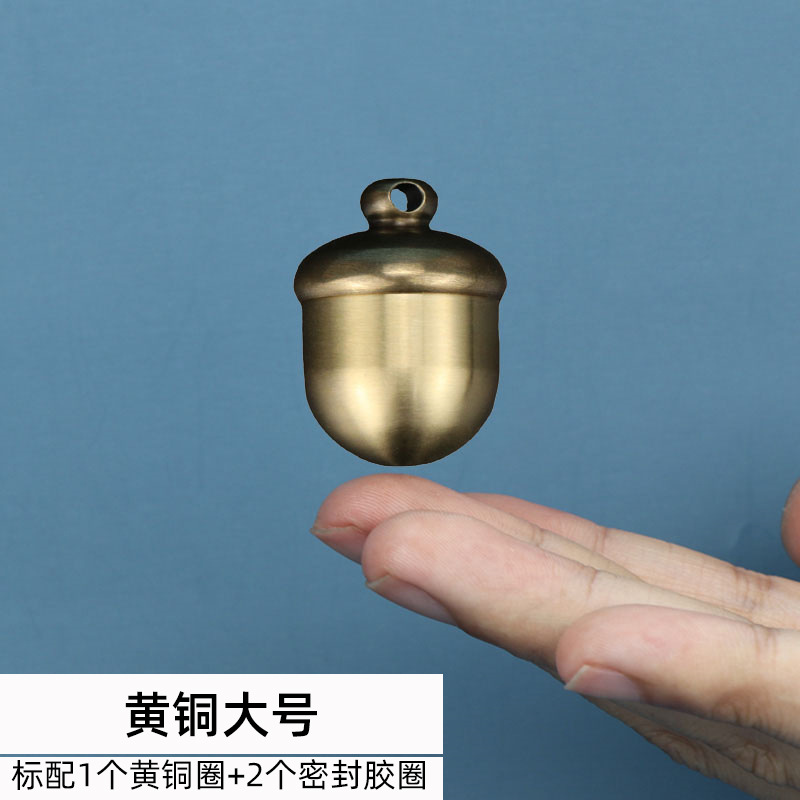 Latón ACORN llavero diseño creativo roble fruta forma bolsa accesorios colgante a prueba de humedad de almacenamiento pequeña caja de la medicina