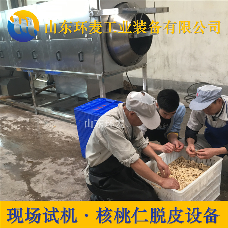 云南核桃仁去皮机 高压水核桃仁脱皮机 性能可靠