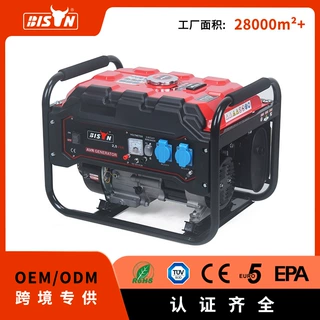 BISON2kw小型家用汽油发电机露营便携式110/ 220v低噪音50/60hz