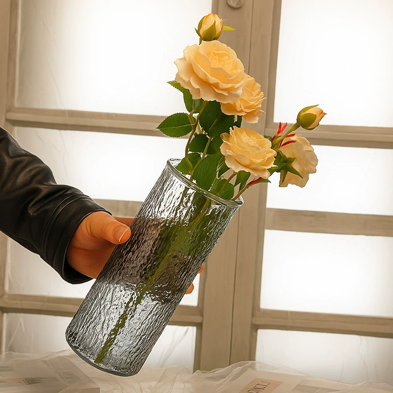 Стеклянная ваза Прозрачный простой гидропонный контейнер для растений в скандинавском стиле