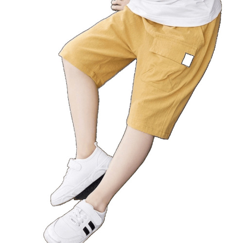 Summer Work Pants for Boys 2025 New Arrival Thin Five-Pocket Pants Children's Casual Middle Pants Stylish and Versatile