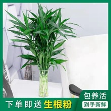 ���F��ˮ��ֲ�����^�������҃ȾGֲ�����ļ�ˮ�B���l�羳ֱ�N