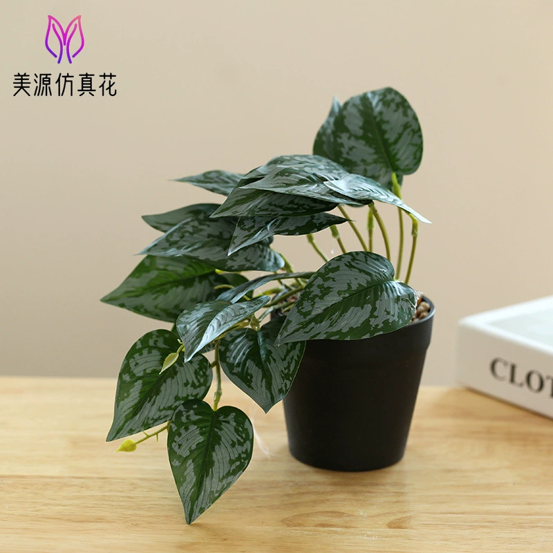 New hanging green plant bonsai manufacturer Plant bonsai Creative Room indoor small ornaments Amazon green plant