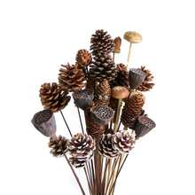 lɹ֦ɻ͏d[Ob[diyinsLȻ