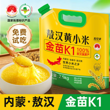 ���ɹų�尽�h�SС�׽�����r������