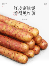 ��ɽ�F�U�F��ɽș���r���F�P���Ͻ����ؿh��Ş���ϑ�