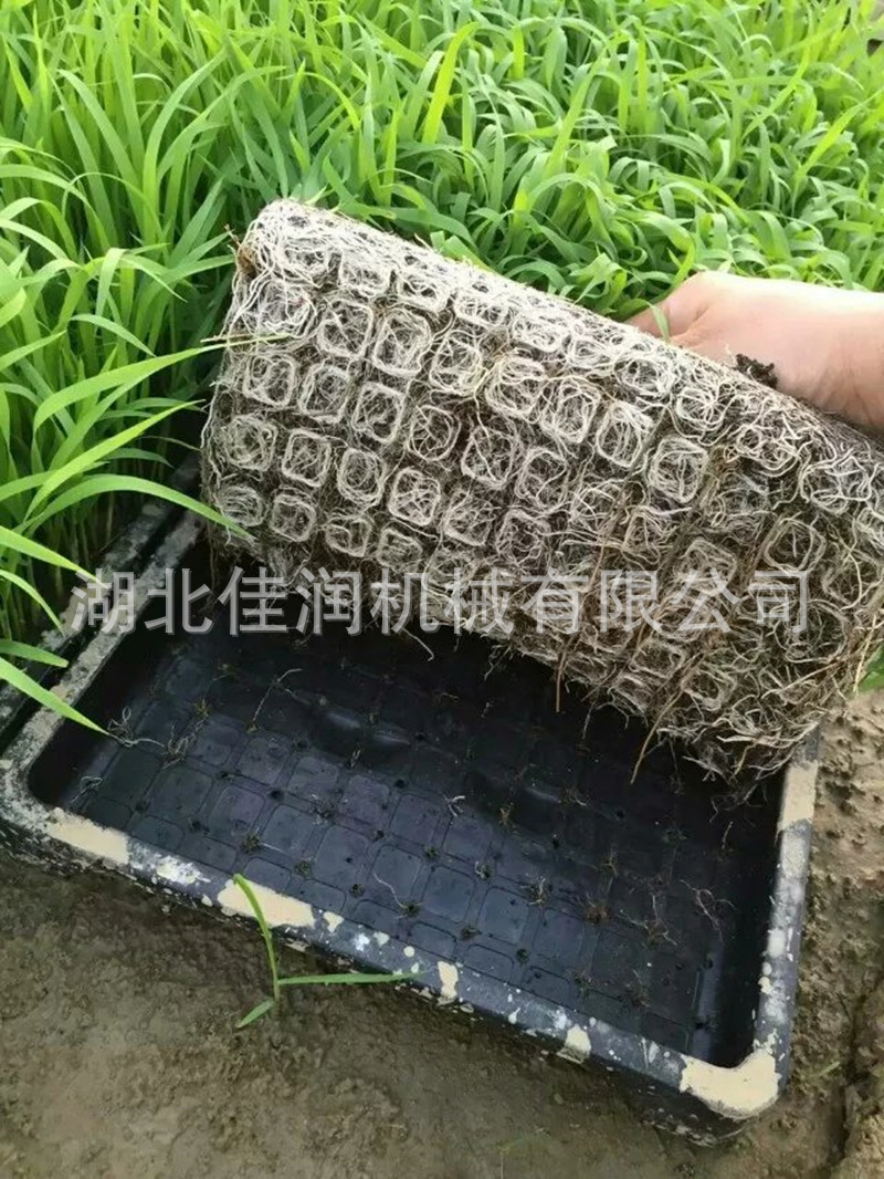 PET育苗盘机插硬盘手抛盘7寸机插育秧育苗盘