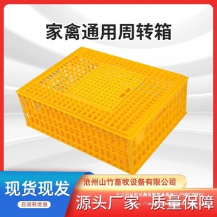 �u�\���D���u�����D�\�b�u�����Ͽ����\�����u���\ݔ�\�u�\���D��