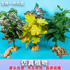 模擬植物、爬虫類飼育ボックス、造園装飾、模擬水生植物装飾品、爬虫類、キリンガマ、黄縁カメ、緑の植物