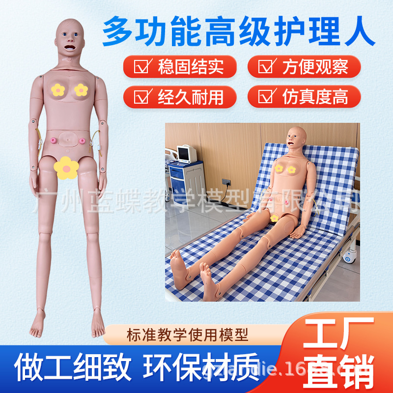 ҽѧģ����ģ�Ͷ๦�ܻ�������ģ�ػ�����ѵ������Ƥ�����ķθ���