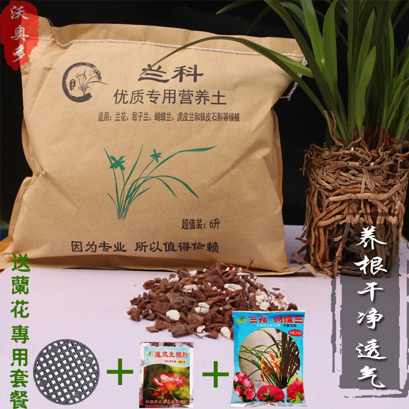 Оптовая Орхидея Растение Питательные Почвы Дышащие Чистые Dendrobium Officinale Посадка Почвы