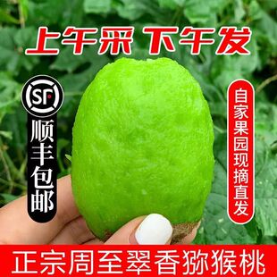 ���������Ʒ����J�������r�G�ı��������������