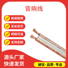 音響線專業音頻音響線純銅金銀線喇叭線工程音箱線纜連接線通用