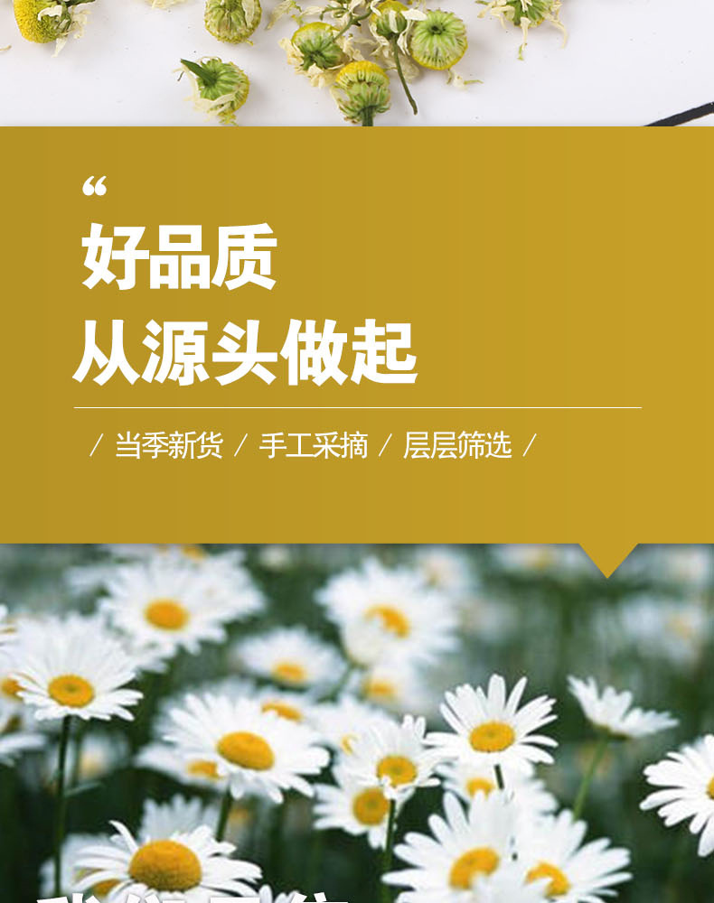 Chamomile Dried Flowers (Matricaria chamomilla) — Loose Herbal Tea, 500g Bulk quality and texture