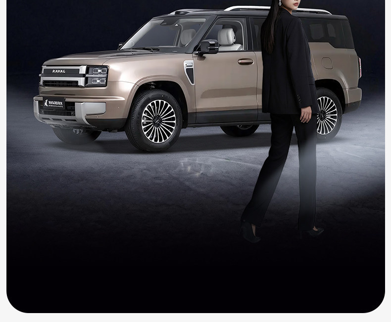 Suitable for Great Wall H10 trunk mat TPE2026 model car modification interior accessories, specialized floor mats