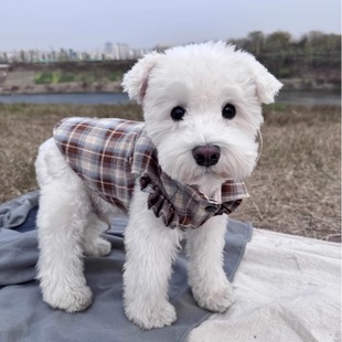 �A�ۿ�30��Ȱl؛����̩�ϱ��ܲ����R����˹�s����ѩ�{��؈��С��