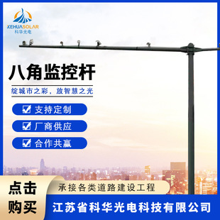 Manufacturers Supply Digital Police Pole Road Traffic Octagonal Monitoring Pole Hot Dip Galvanizing Spray Plastic