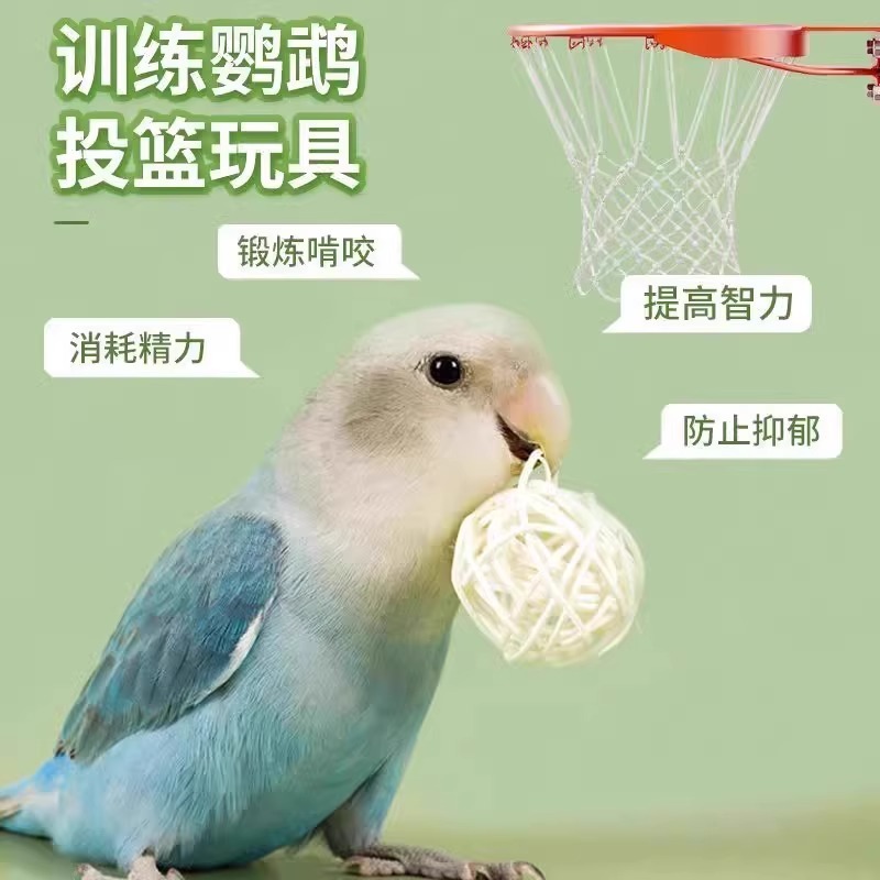 オウム籐ボール噛むおもちゃ、餌探しトレーニング、歯ぎしりの互換性、Xuanfeng Tiger Skin Bird Supplies|undefined