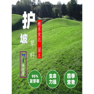 �G����ƺ�N��ͥԺ�e���ļ��๷����������������ͺ��o�����޼�