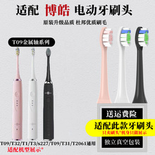 适用prooral/博皓电动牙刷头 2922 T09  2081 2082 2082B替换头