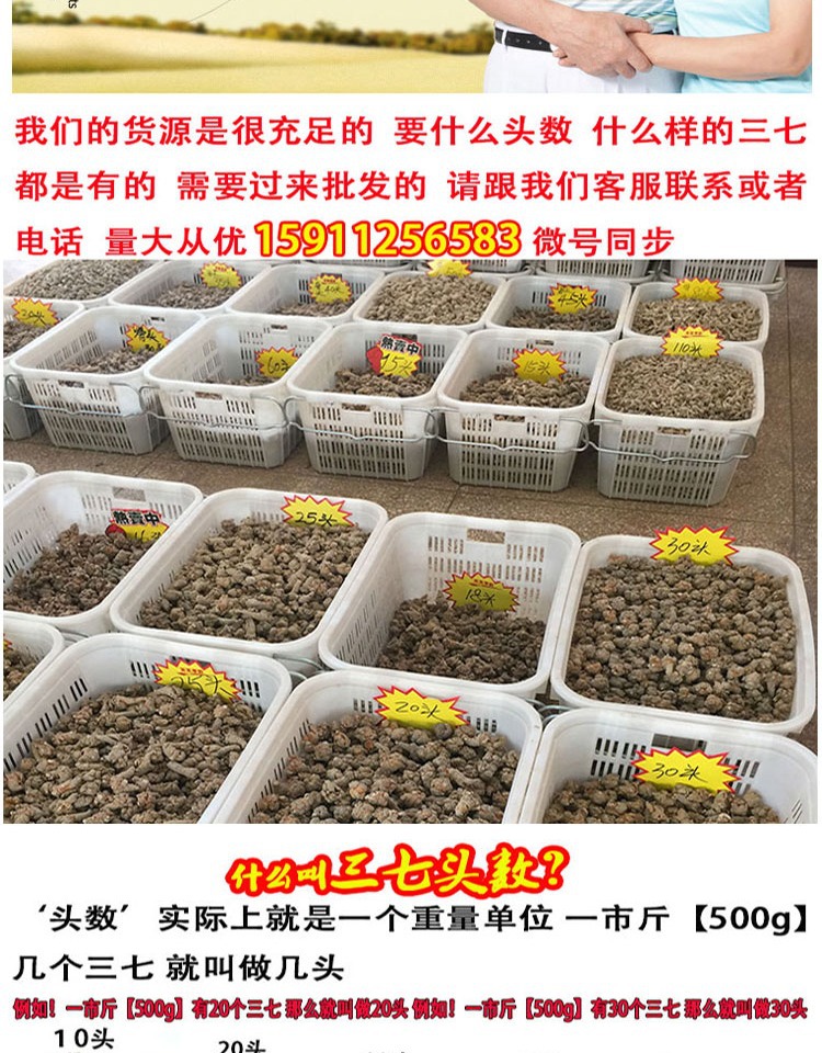 San Qi Notoginseng Root Tian Qi Dried Whole Roots Wenshan Panax notoginseng for Decoction and Powder overview