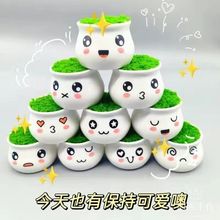 批发迷你小花盆高级感汽车摆件中控台花盆装饰防摔塑料车载小盆栽