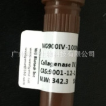 胶原酶IV