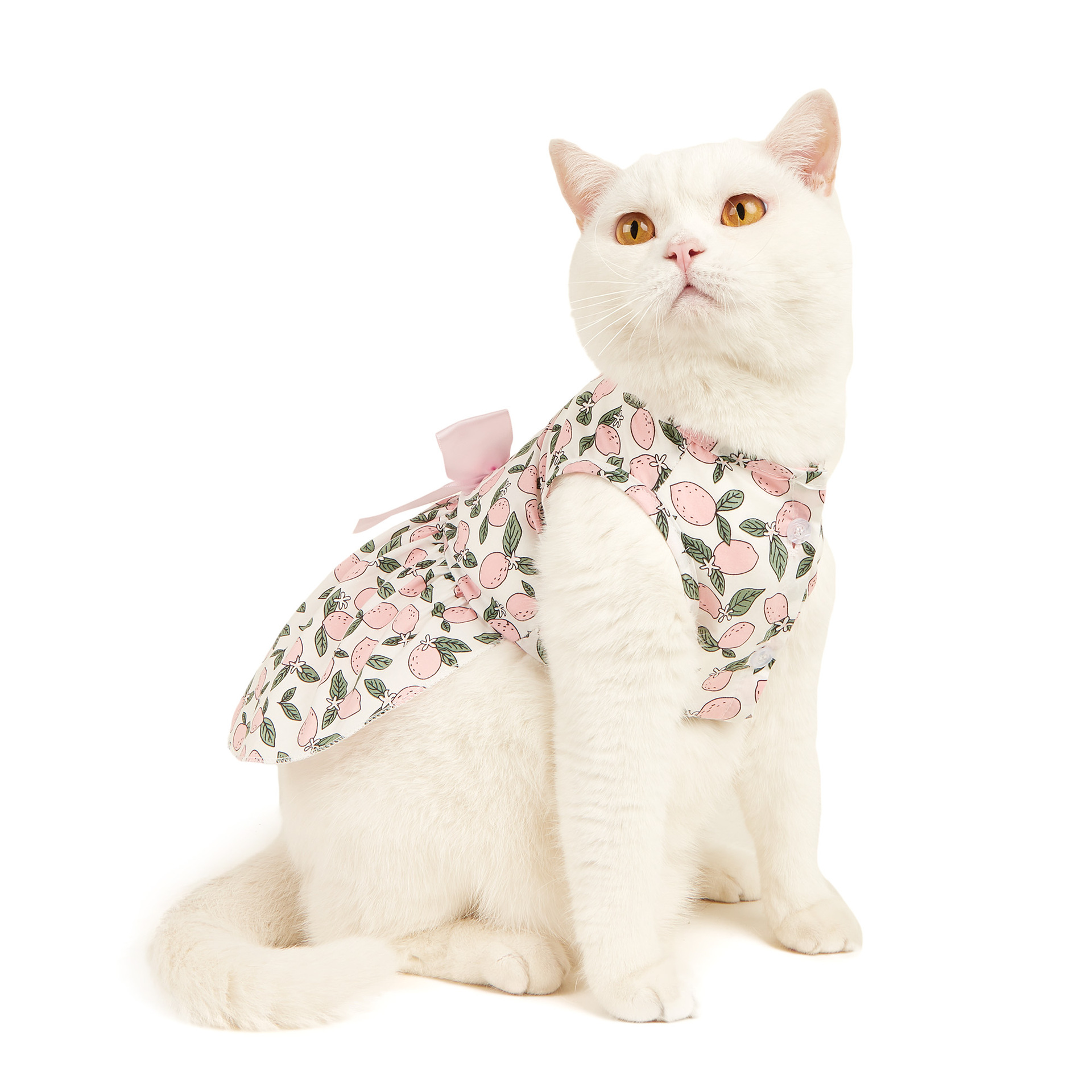 Pastoral Cotton Lemon Bow Knot Pet Clothing display picture 3