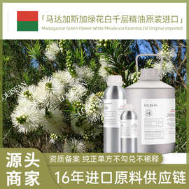 基地直供马达加斯加绿花白千层蒸馏纯正单方原料绿花白千层精油