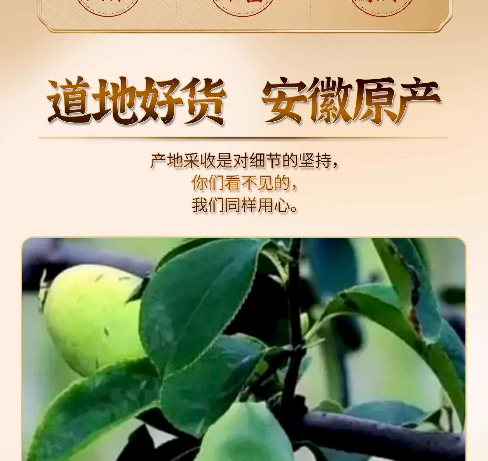 Dried Chaenomeles Fruit Slices Xuan Mu Gua 木瓜 Chinese Herbal Tea and Decoction Ingredient 500g Sulfur-Free overview