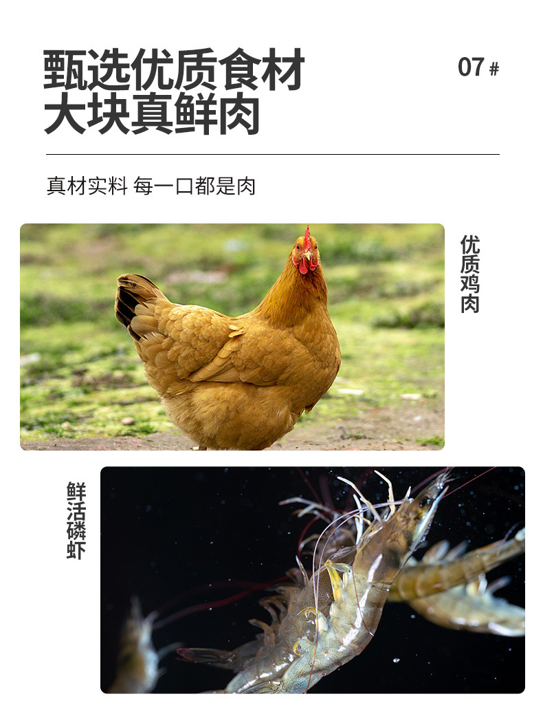 27af13c3-d8e5-4f6b-acdf-77e610bc213c.jpe