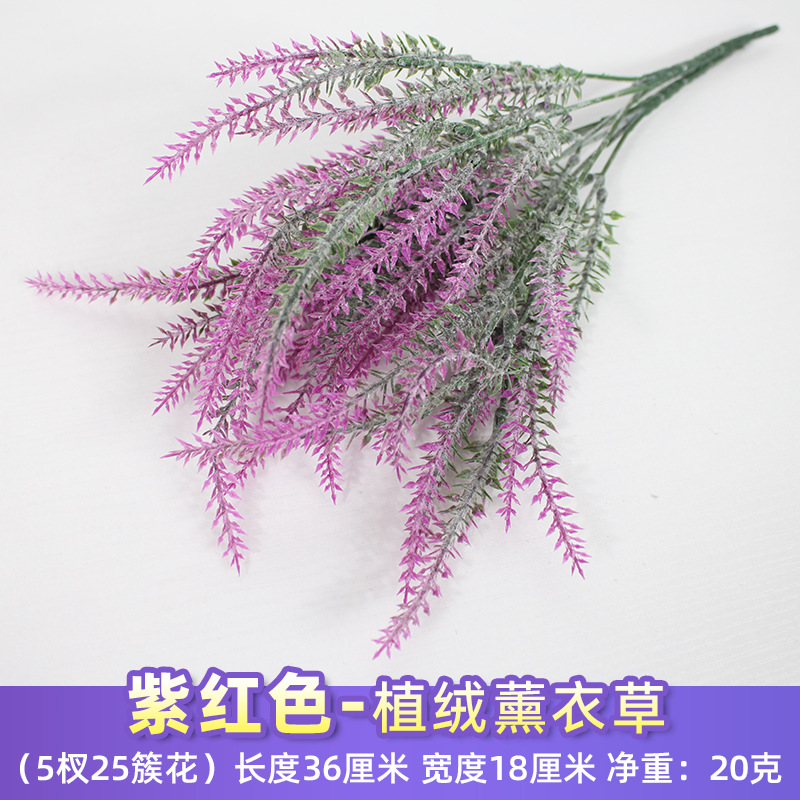 Lavanda flocada púrpura_2