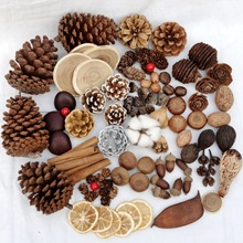 ���l�ɻ��ɹ������ɹ� �b� �ֹ�DIY ��Ȼԭ���� ɭϵ��޹ �}�Q؈
