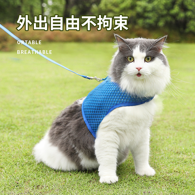 Cuerda de tracción para gatos tipo chaleco para evitar que se libere.