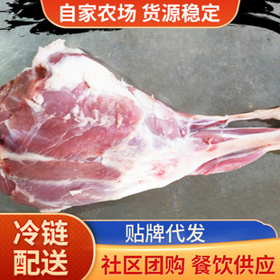 ���a������С���򎧹������ ������ С���� ���⿾���K�ߵ���