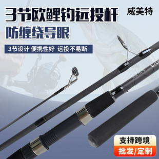 �S�ҬF؛3���W����hͶ�U���p̼�غ������I��CARP�U/���~��