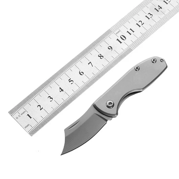 Spot Mini Stainless Steel Fruit Knife Camping Knife Folding Knife Collection Gift Portable Keychain Knife