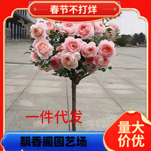 �䘶�¼������ǚW���ش󻨝���õ�����Ի����̨ͥԺ�ͺ��ļ��_��