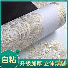 ?�Ӻ�o������ճ���N���w����3d��ӡ�Wʽ���ұڼ��͏d�ҕ������