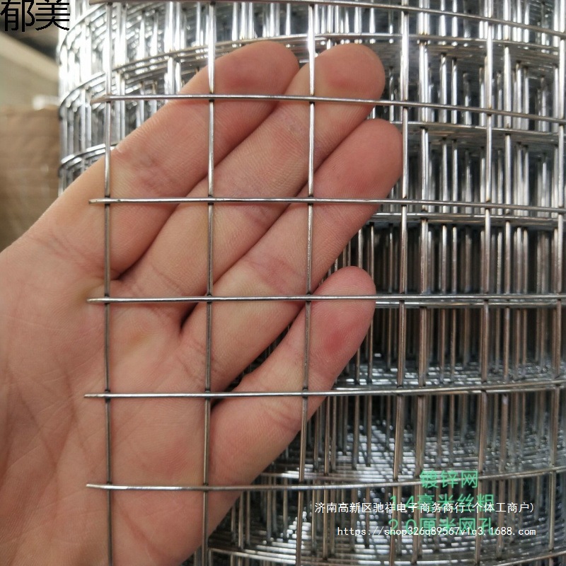 镀锌铁丝网围栏护栏网养殖钢丝网防鼠网兔笼养鸡鸭鸟笼阳台防护网