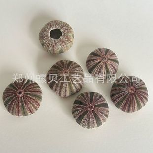 ������đ����Ȼ��đ����đ�˱��b�����ҾӔ[���ֹ�ˇƷ������l