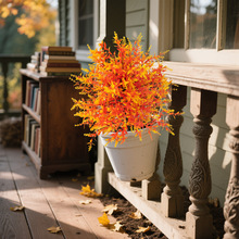 RdN＾滨Sɫزжf}}QYɌb