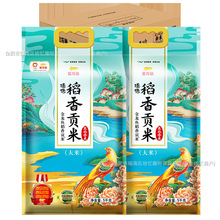 �����~���x����ؕ��5kg�|������10���b��˾�׈A���׾��׈Fُ���l