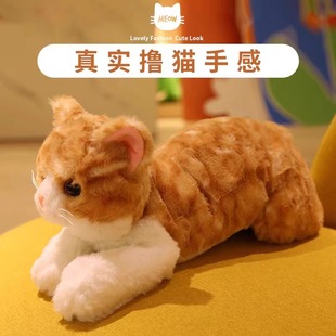 �ɐ�С؈����ż����؈؈���Ѓ�ͯ˯�X���팚��ë�q���Ů��������