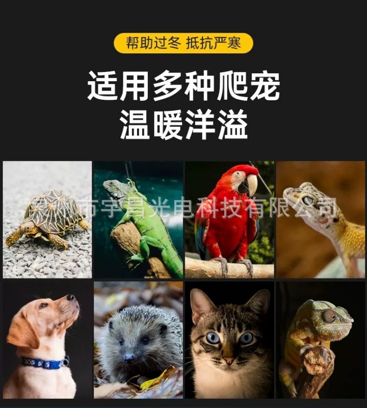 微信图片_20250921205646_57_3