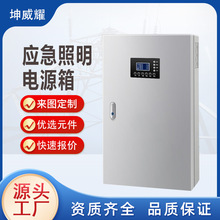 应急集中电源箱消防照明配电箱智能启动控制箱成套电控箱非标定制