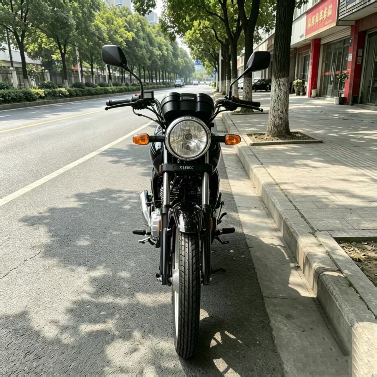 Two-Wheeled Vehicles for Long-Distance Riding, Suitable for Commuting in Urban and Rural Areas, Carrying Goods in Markets, and Fuel-Powered Motorcycles That Can Easily Carry Heavy Loads and Climb Long