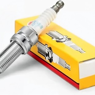 NGK 5019LTR5GP�m��춊W�ϴ�/�R���_/����/��Խ ���|�K�����